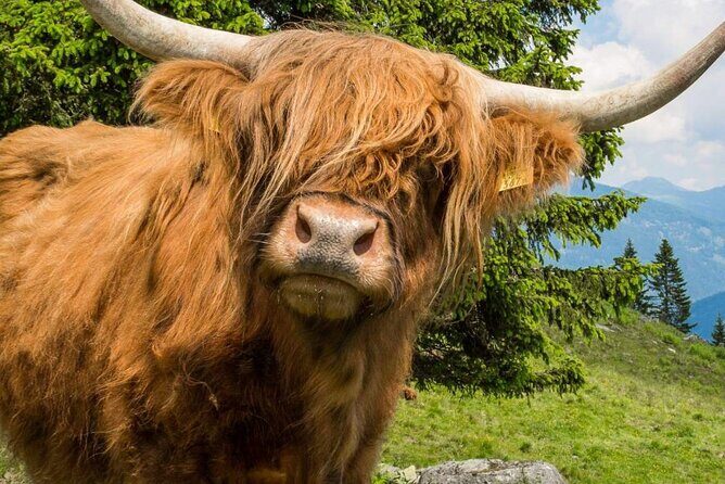 3 Day - Isle of Skye, Loch Ness & Glenfinnan Tour from Edinburgh - Price and what it really buys you: $345.27 worth it?