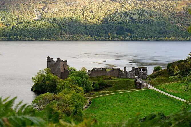 Culloden, Loch Ness + More - Highland Cows and the Farm Stop: A Classic Moment That Feels Local