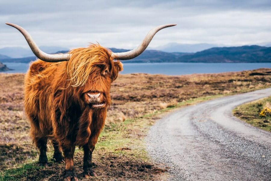 Edinburgh: 3-Day Isle of Skye, Highlands, and Loch Ness Tour - First taste of the Highlands: getting from Edinburgh to Luss