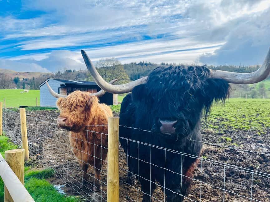 From Edinburgh: Loch Ness, Glencoe & The Highlands Day Trip - Key things that make this tour worth your time