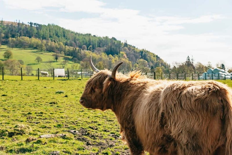 From Edinburgh: Loch Ness & Scottish Highlands Tour - The Trossachs into Rannoch Moor: scenery and scale