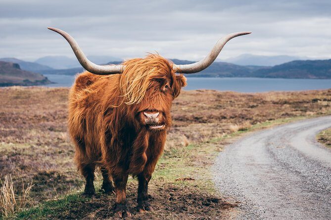Glasgow: Isle of Skye, The Highlands and Loch Ness - 3 Day Tour - Should you book it?