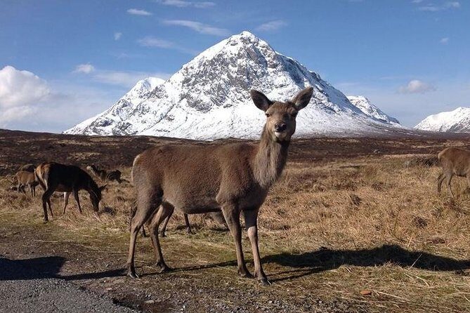 Glasgow: Loch Ness, Glencoe, and the Highlands Day Tour - Glencoe National Nature Reserve: Haunting Views, Real Photo Time