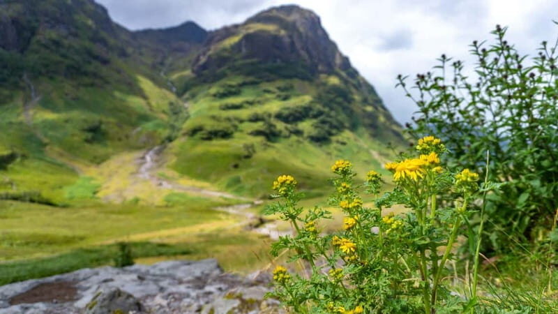 Glasgow: Mountains, Glens & The Loch Ness Monster Day Tour - Key points that make this Glasgow to Loch Ness tour work