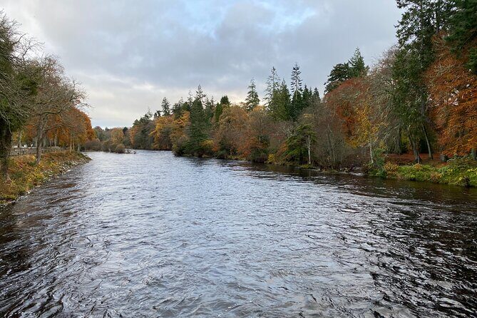 loch Ness, Clava Cairns, Culloden, COO,S, DRAMS & Outlander sites - Beauly Priory and Robertson’s: ruins and animals in the same breath
