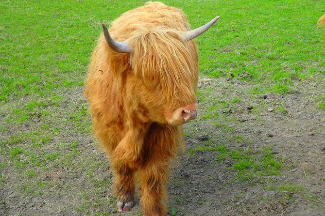 Loch Ness & Culloden Battlefield Private Tour from Inverness - Lunch in Beauly: plan ahead because it’s on your time