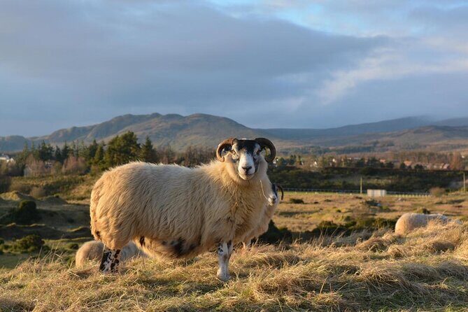 Private Full-Day Tour to the Scottish Highlands and Loch Ness - Key highlights worth marking
