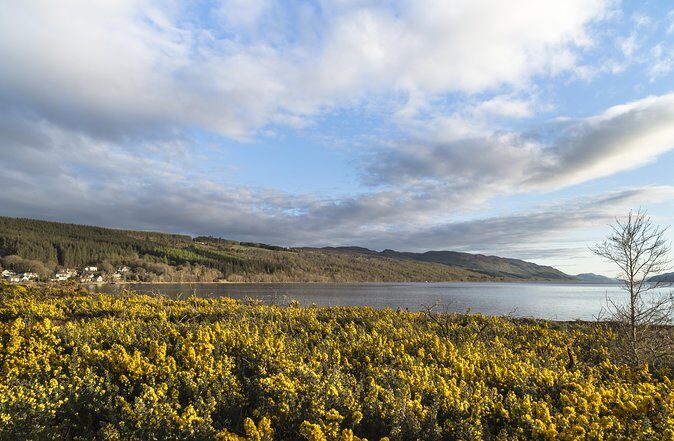 The Complete Loch Ness Experience Small-Group Day Tour from Inverness - Stop 2: Falls of Foyers, a downhill walk through native pines