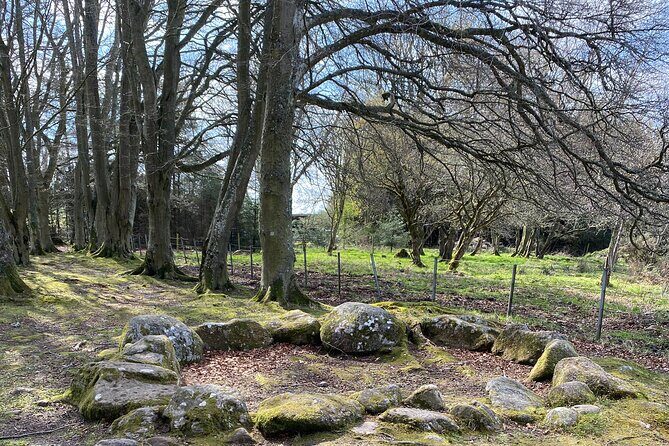 The Outlander Tour Clava, Culloden, Urquhart, Loch Ness & Beauly - Loch Ness Stop: Banks of the Lake and a Possible Nessie Hunter (30 Minutes)